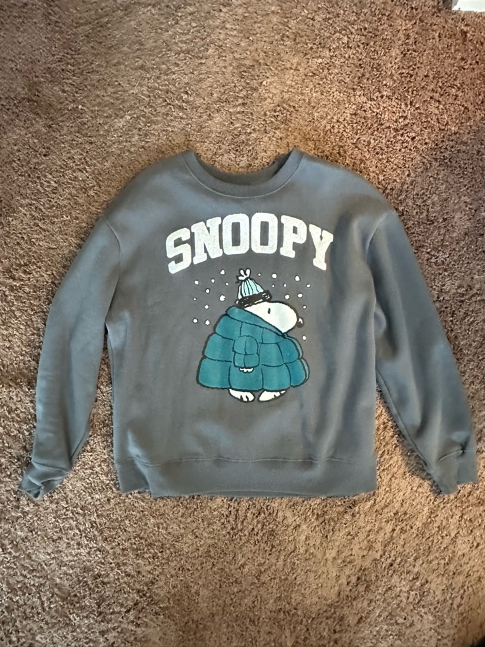 Peanuts Gray Crewneck Sweatshirt with White Chenille Letters
